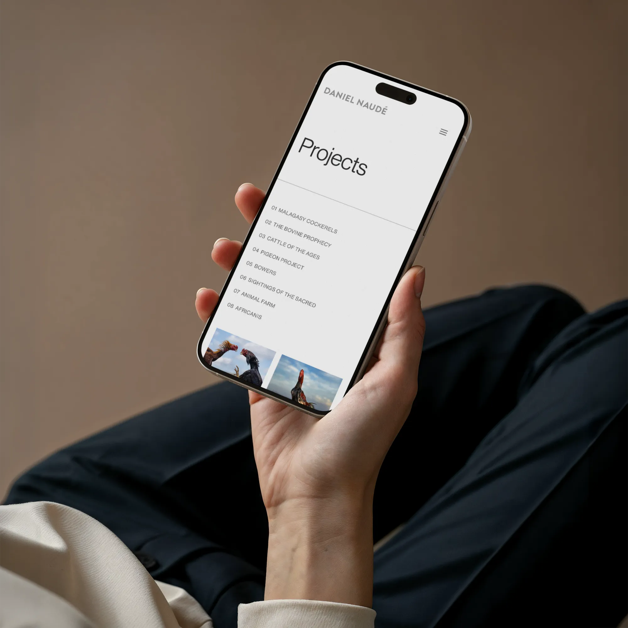 Daniel Naude Home Page Mobile