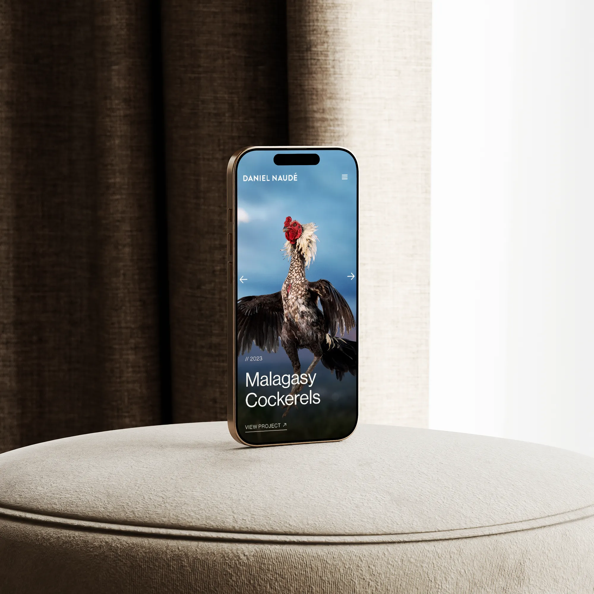Daniel Naude Home Page Mobile