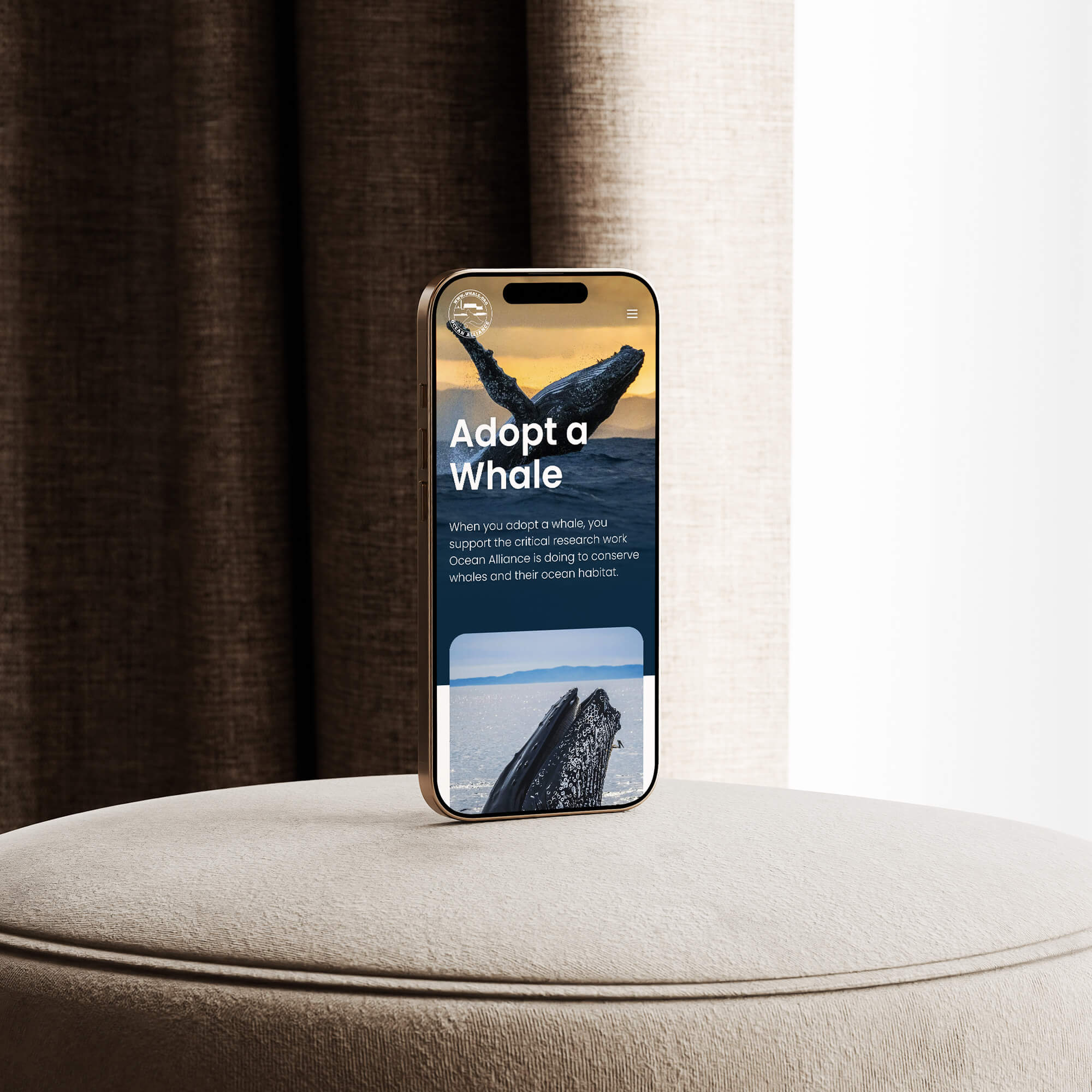 Daniel Naude Home Page Mobile