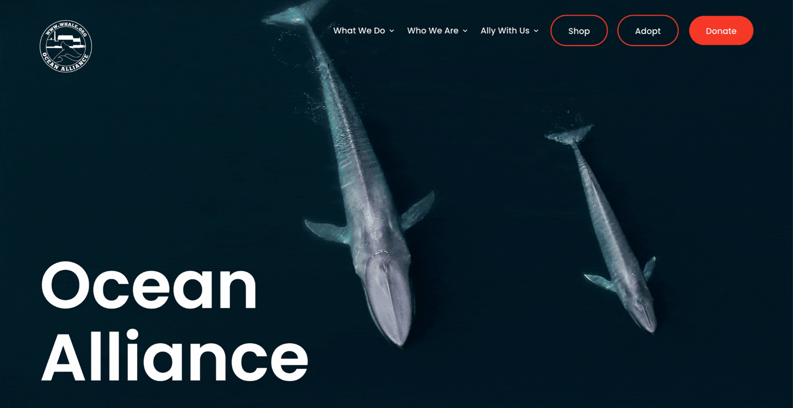 Ocean Alliance Mega Menu